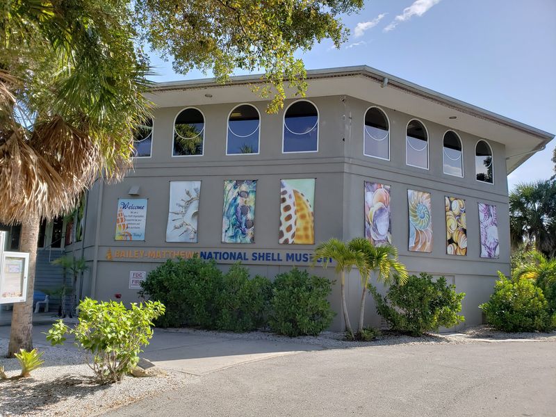 The Little-Known Florida Museum Home To One Of The World'S Largest Shell Collections - Decor Hint How A Collector's Dream Began