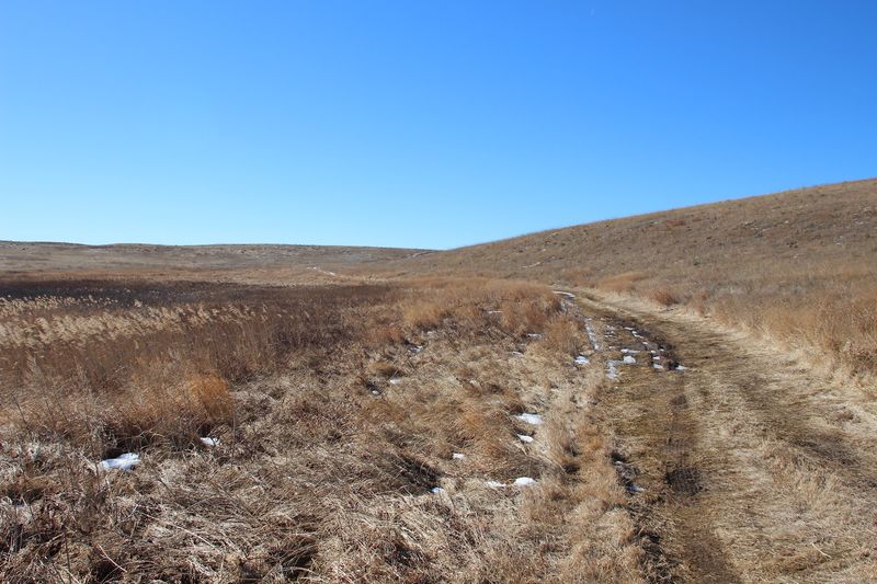 Choosing an Entrance in Nebraska's Sandhills