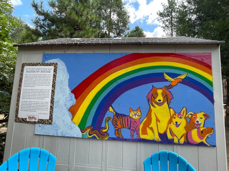 How A Rescue Group Fundraiser Sparked The Whole Thing