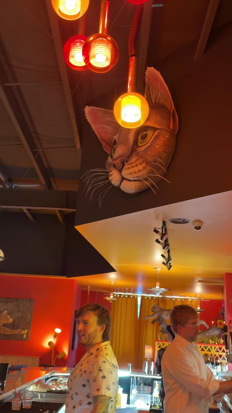 Walk Inside And The Cat Theme Suddenly Makes Perfect Sense