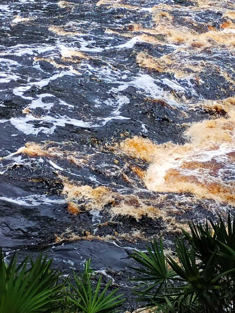 Reading the River Before You Paddle