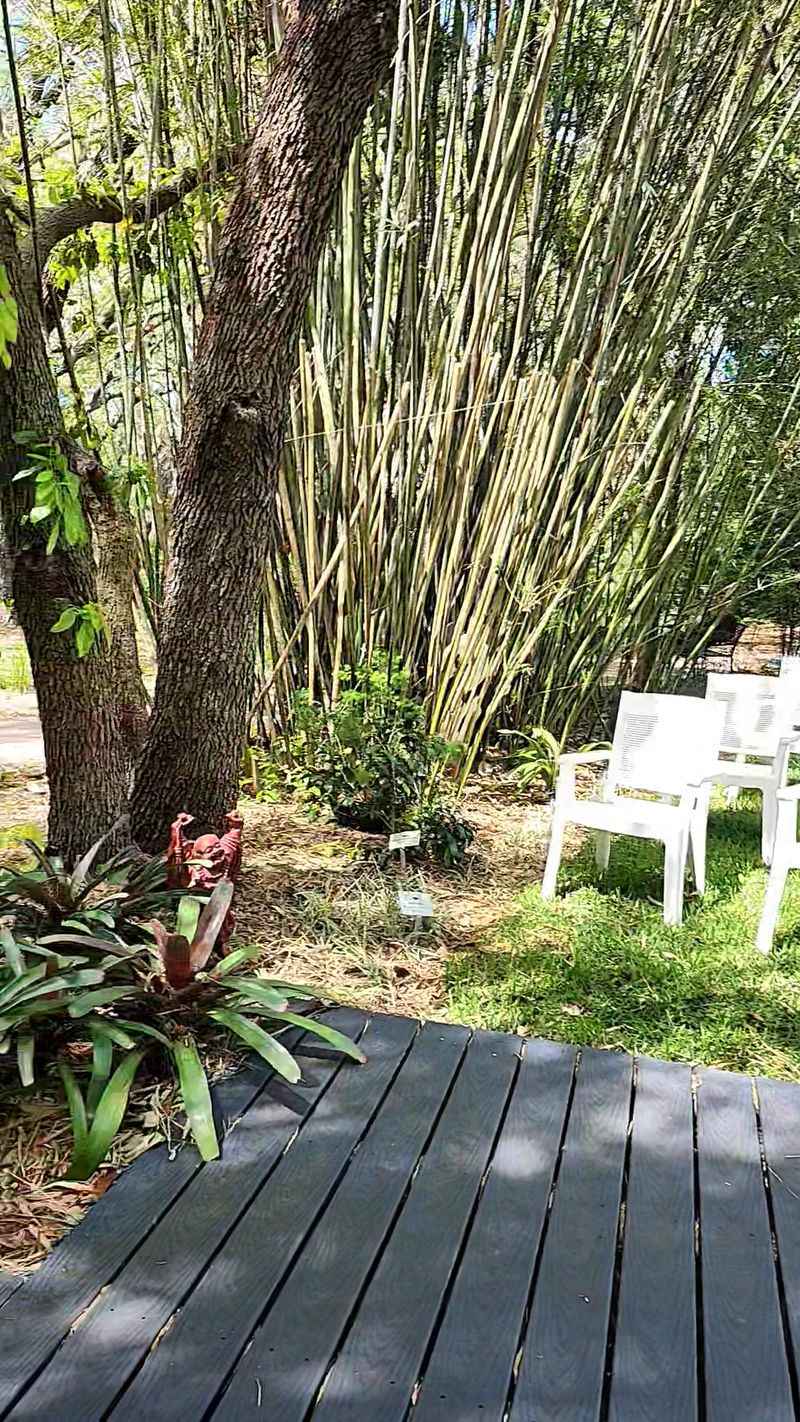 A Nursery Stocked With Plants That Actually Survive Here