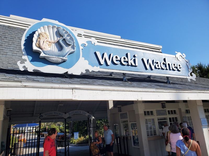 Florida's Oldest Roadside Attraction Still Stages Live Mermaid Shows in a Spring-Fed Theater - Decor Hint Hours, Tickets, and How to Plan the Day