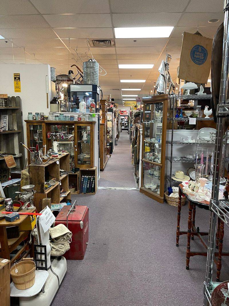 More Than 160 Vendors Under One Roof