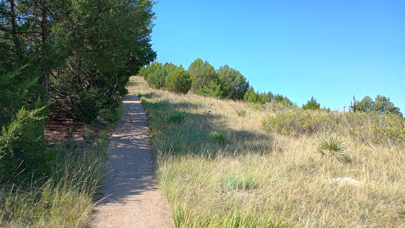 Trails, Swales and a Paved Climb