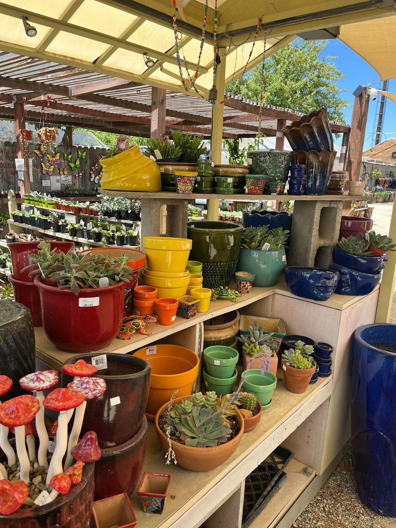 Giant Terracotta Planters Are One Of The Biggest Draws