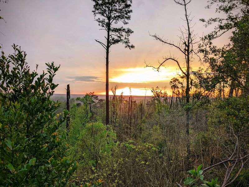 This Florida State Park Gets Zero Crowds And All The Stunning Views - Decor Hint Overlooks That Stretch For Miles