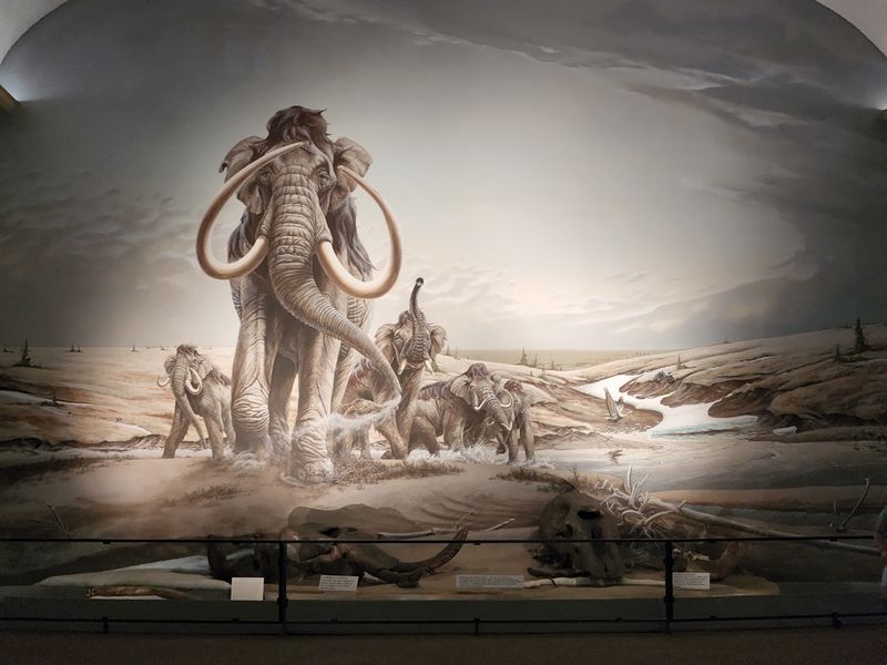 Murals Painted in the 1920s and 1990s