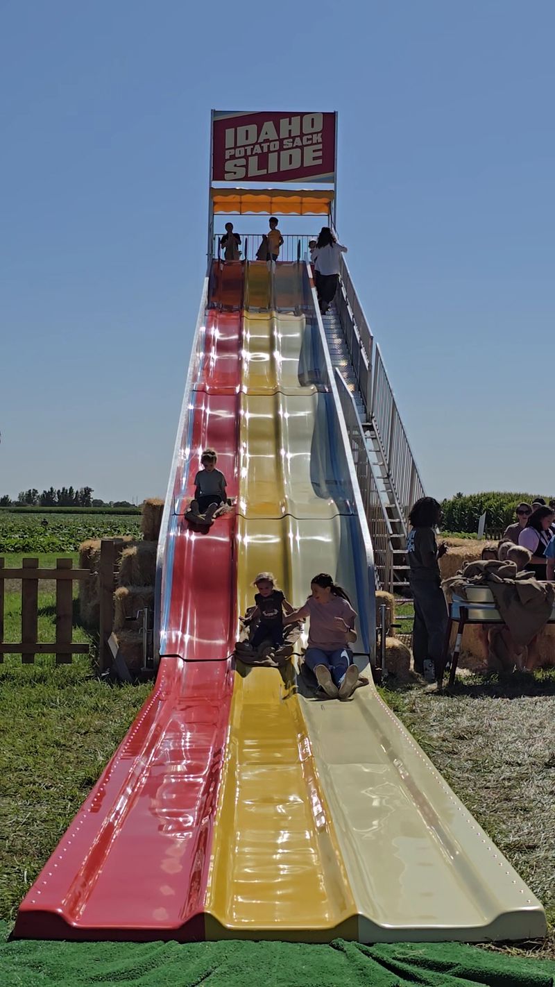 Slides, Zip Lines, and the Ropes Course