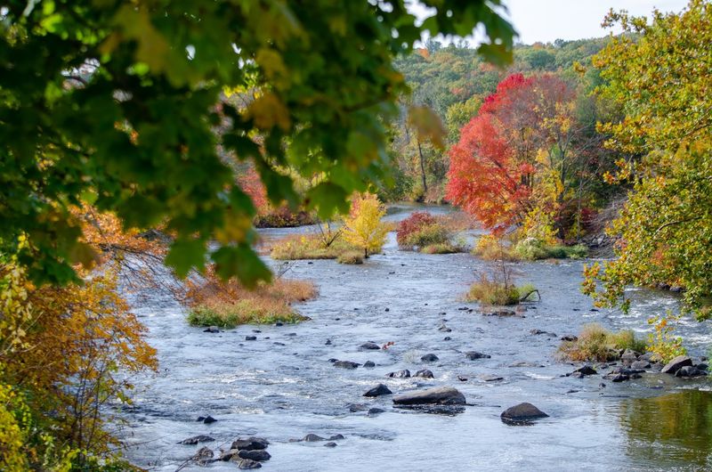 River Trails Offer An Easy Outdoor Escape