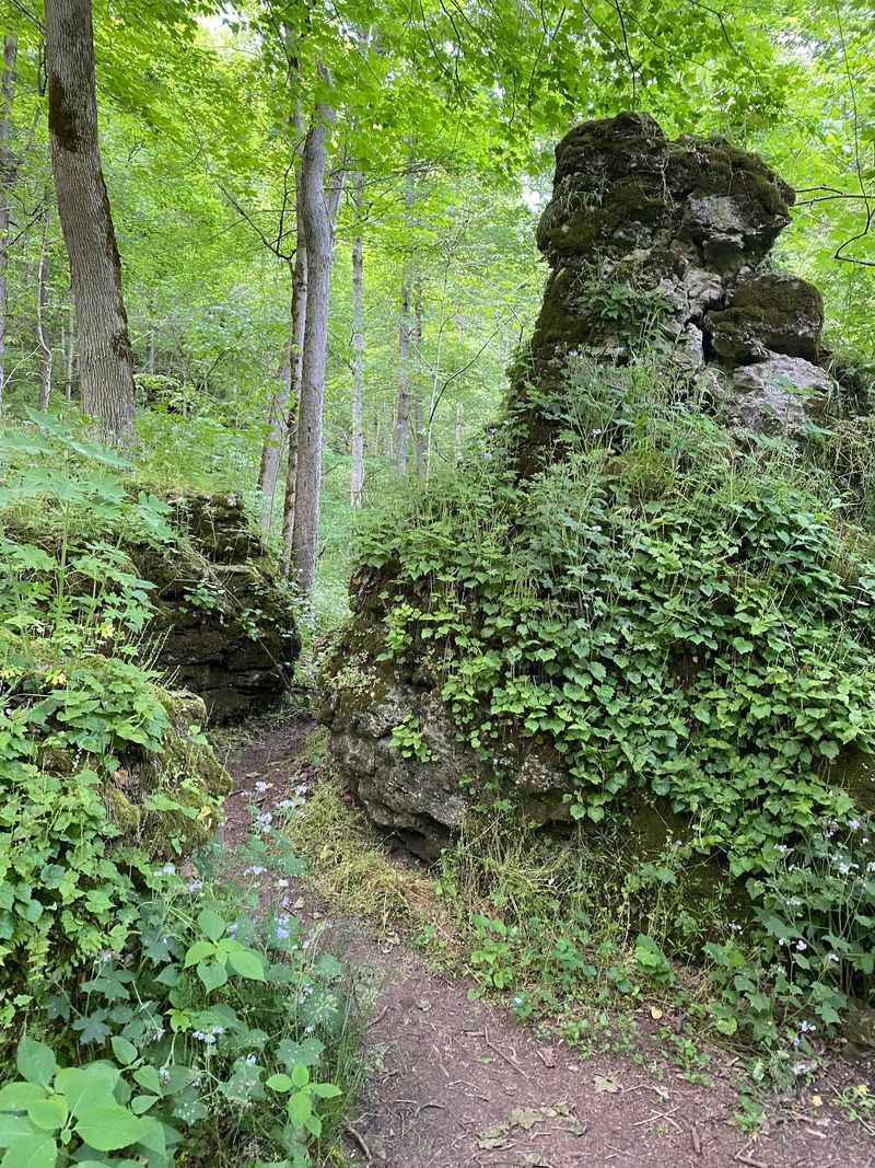 The Sprawling Indiana State Park That Far Too Many Travelers Still Overlook - Decor Hint Fossils And Sinkholes Hiding In Plain Sight