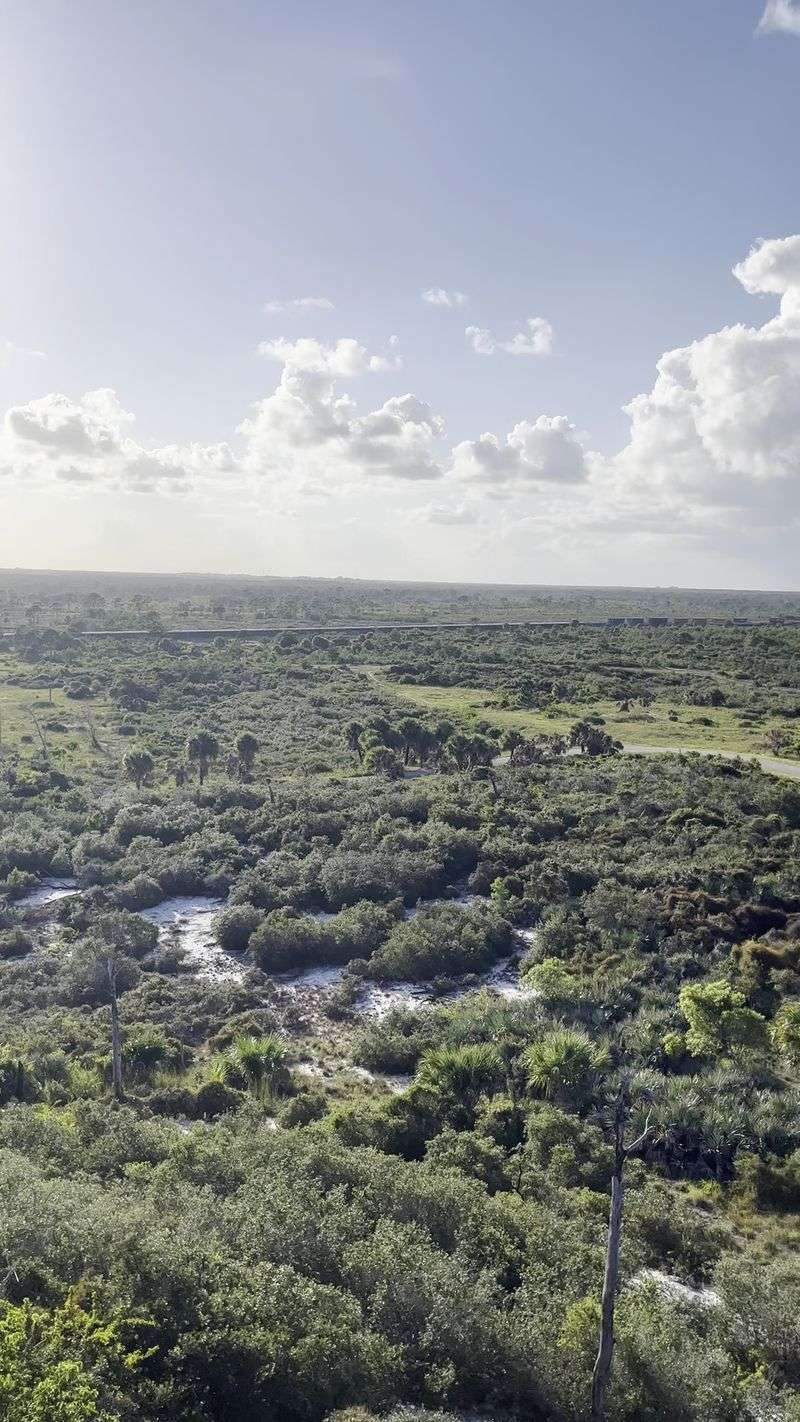 Florida's Little Mountain Overlook Inside This State Park Hides A Secret Snake Problem - Decor Hint Meet the Indigo