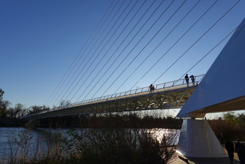 The Design Helps Protect Salmon Spawning Habitat