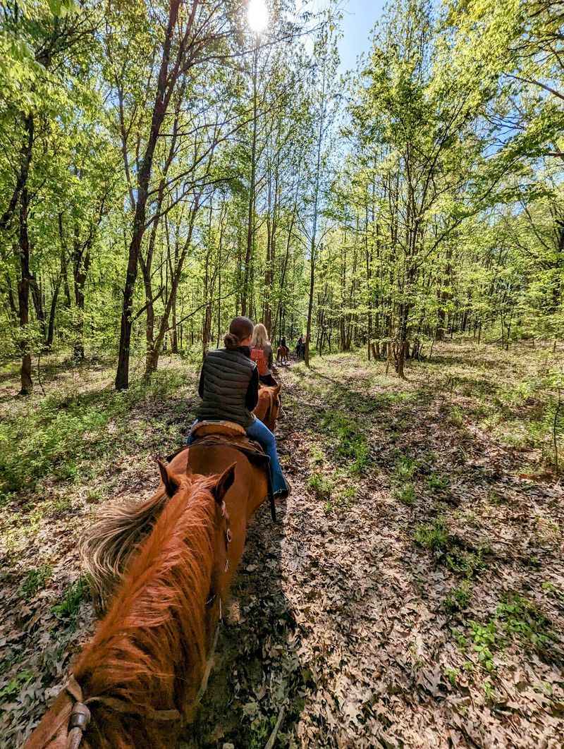 You Can Practically Walk On Water At This Kentucky Water Trail Filled With Eagles And Herons - Decor Hint Look Up Because The Eagles Are Already Watching You