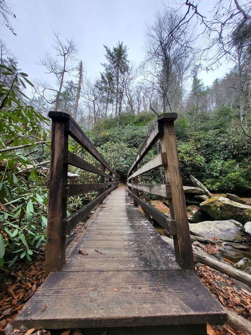 This Georgia Waterfall Hike Winds Through A Shaded Forest To Multiple Cascades - Decor Hint The Climb Back Up Has Its Own Rewards