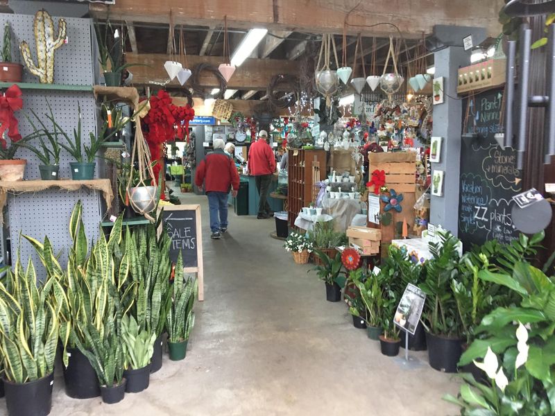 Coffee Upstairs, Plants Below
