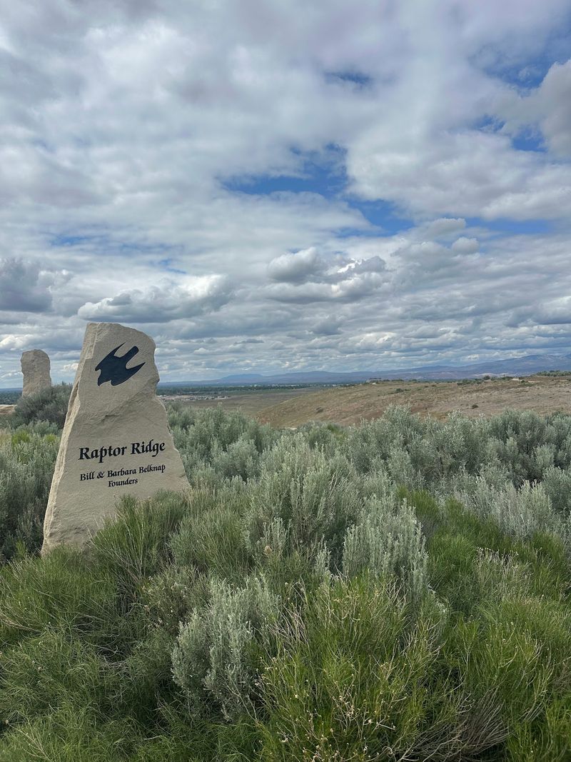 Sagebrush Views And A Sense Of Wide Open Space