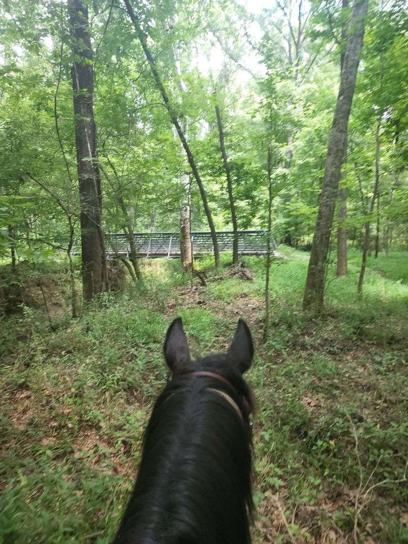 Horseback Riding Along Ravines And Water