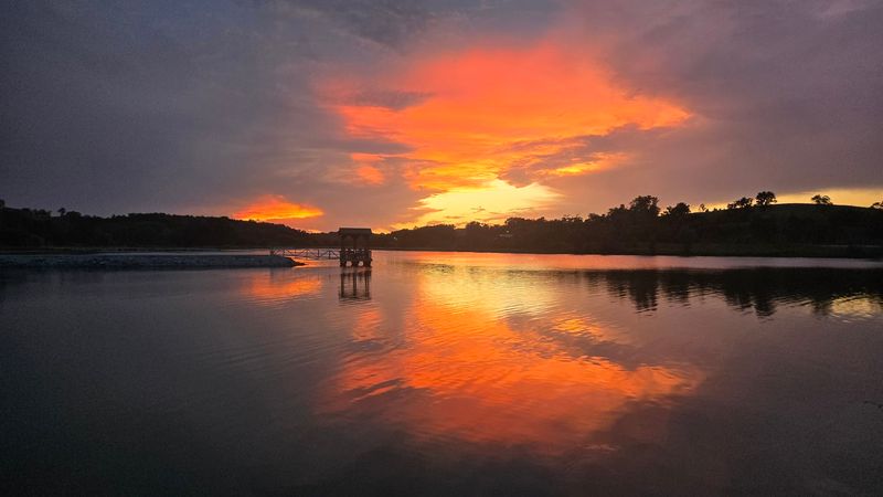 Night Skies That Land in the Lake