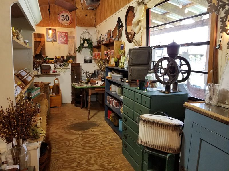 General Store Shelves and a Cold Soda Cooler