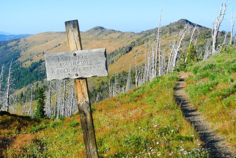 Half a Mile of Huffing Uphill