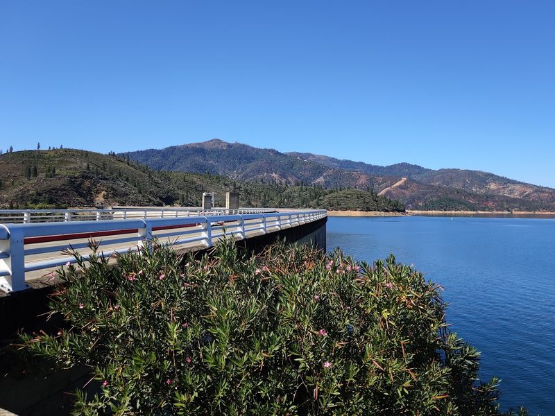 Shasta Dam Changed Everything