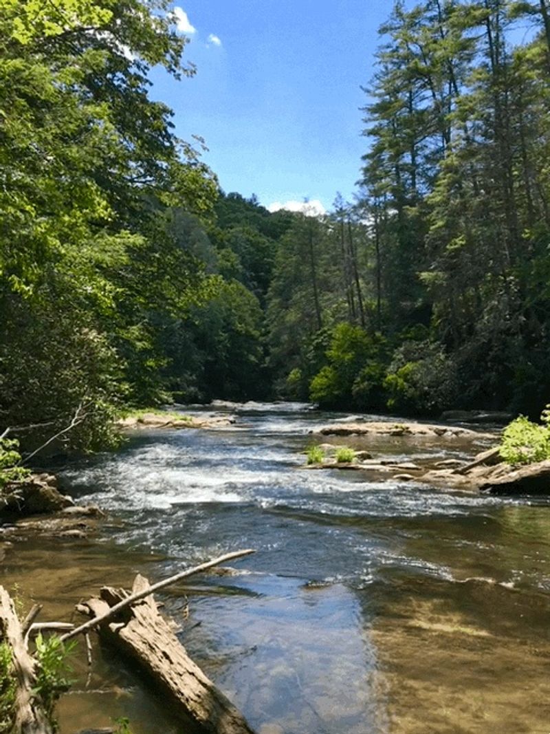 Surrounded By The Chattahoochee National Forest