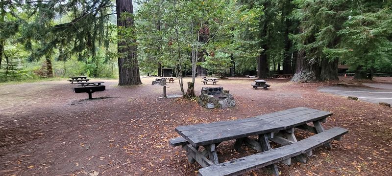 This California Redwood Grove Looks Like Another Planet And Star Wars Actually Filmed Here - Decor Hint Twenty-Eight Campsites Keep Overnights Intimate