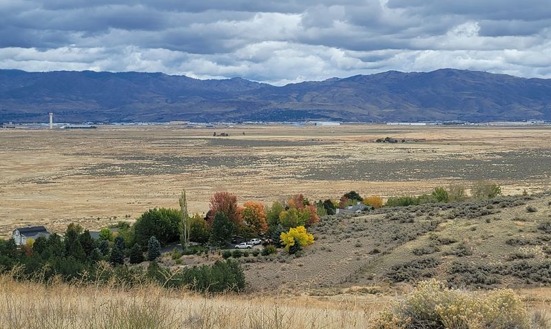 Trails, Grounds, And Wild Birds Overhead