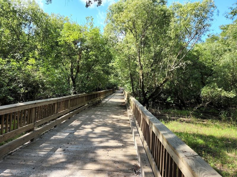 Family Adventure Awaits Along Florida'S Easy Lockwood To Barr Waterfall Trail - Decor Hint Easygoing Miles For Families