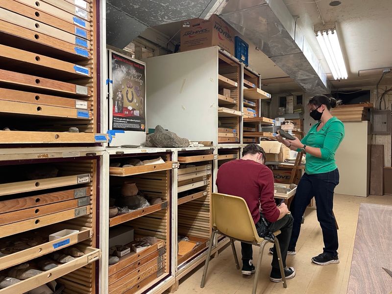 Over 200,000 Specimens Stored Downstairs