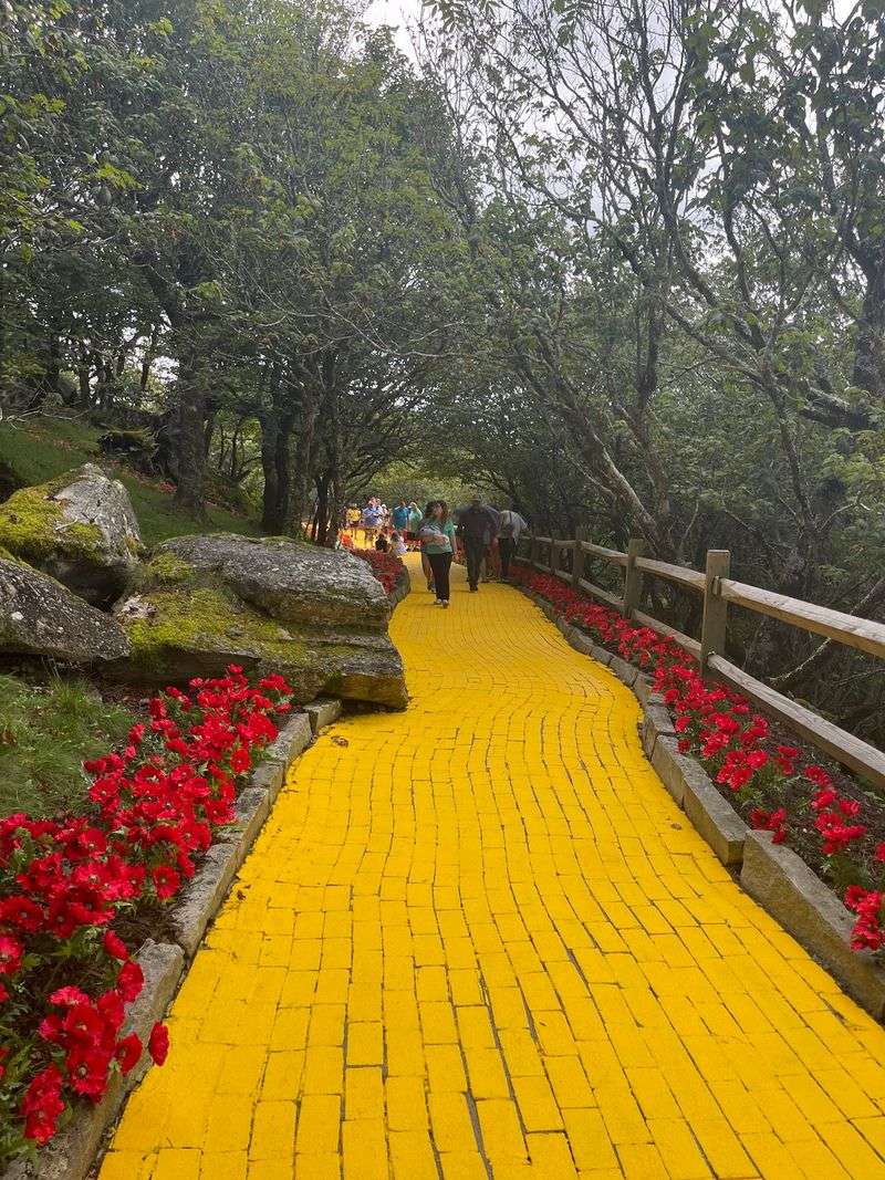 This 33-Year-Old North Carolina Festival Is About To Return To Its Famous Yellow Brick Road - Decor Hint Forty-Four Thousand Gold-Glazed Bricks Lead Visitors Through Oz