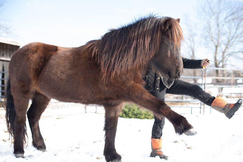 Small Stature Comes With Plenty Of Personality