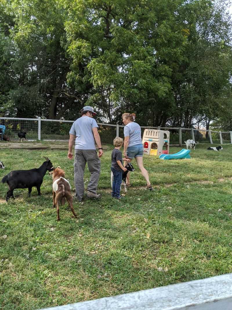 Volunteering, Chores, and What You Learn
