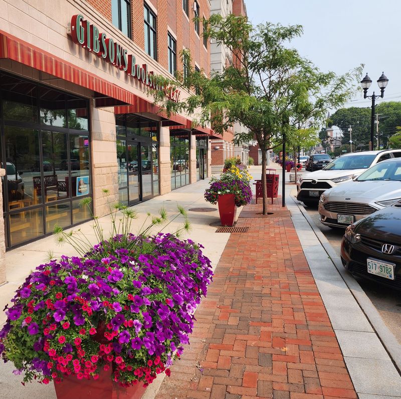 Gibson's Bookstore, Concord