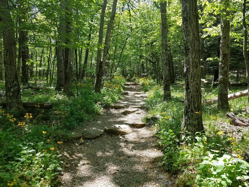 Stony Man Trail, Luray