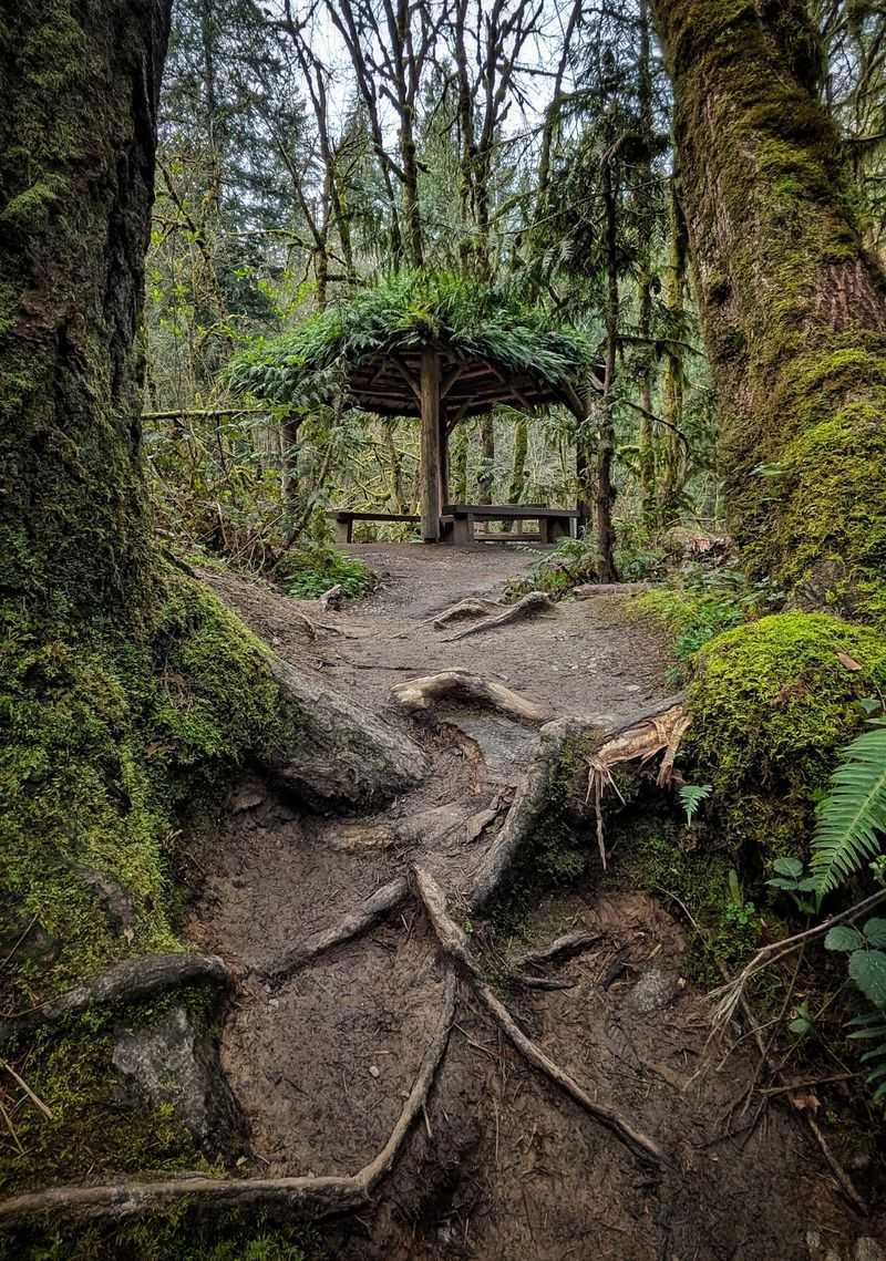 Bird Alliance Of Oregon, Portland