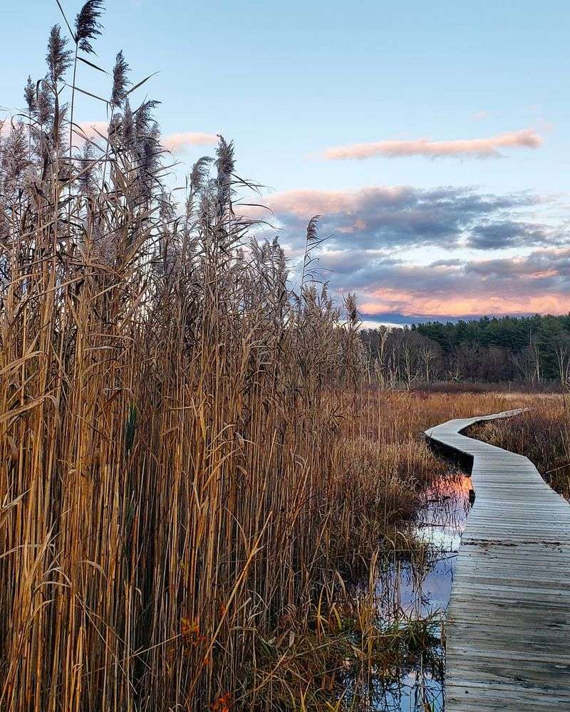 Wetland Scenery Makes This Short Trail Stand Out