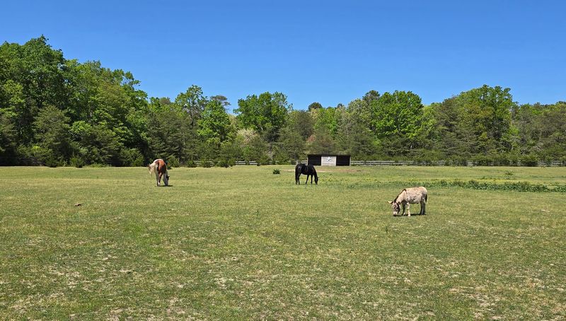 Forty-Three Acres That Feel Like A Small Country