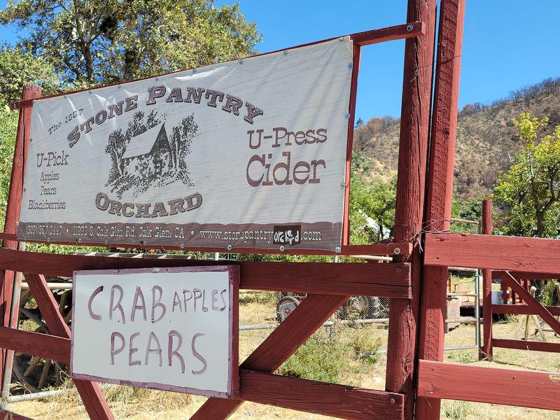 A Nine-Acre Orchard Tucked Along Oak Glen Road