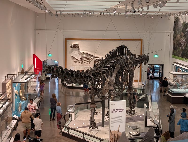 This Connecticut Museum Costs Nothing To Visit But Feels Like A Big-Ticket Attraction - Decor Hint Free Admission Opens The Door To Millions Of Wonders