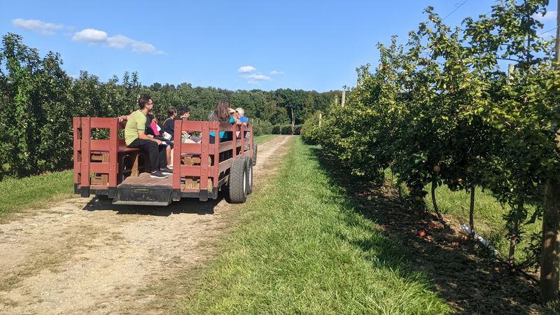 Generations Of Farming Shape This Family Orchard