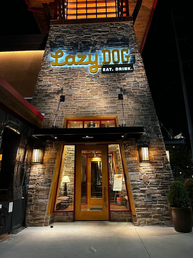 A Genuinely Dog-Friendly Patio That Goes Beyond Just Tolerating Pets