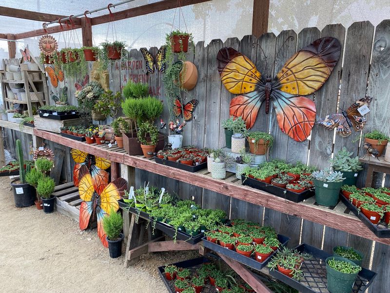 Meet The Family-Owned Garden Shop That Has Been Growing Since 2002