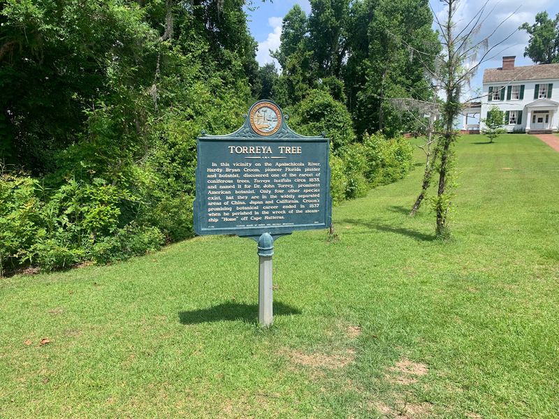 This Florida State Park Gets Zero Crowds And All The Stunning Views - Decor Hint The Panhandle Park That Grew Hills