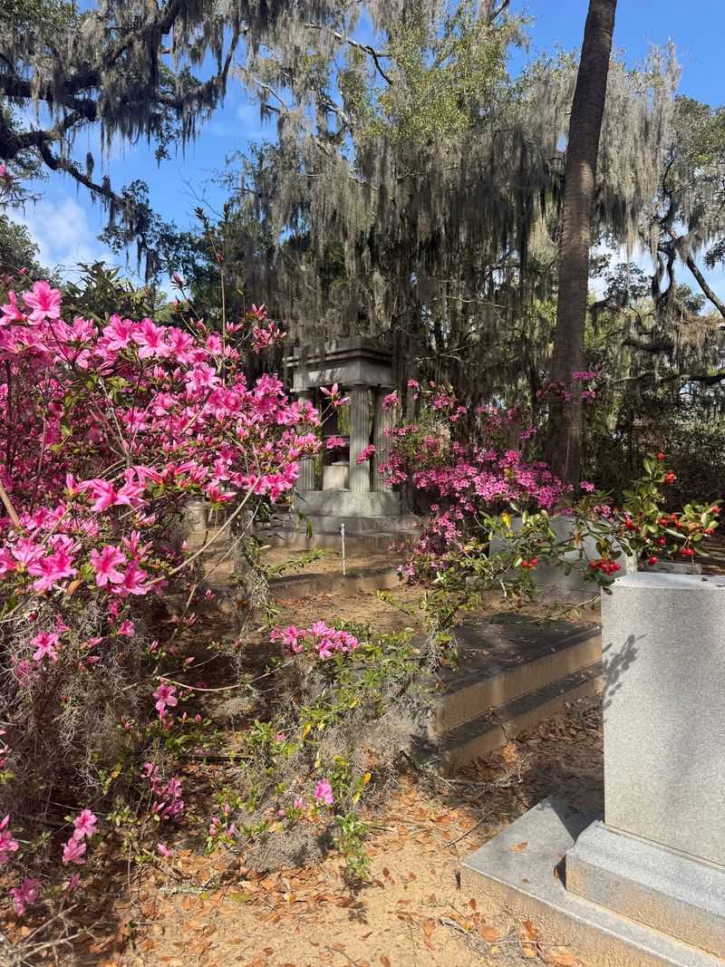 A Garden That Ranks Number One In The Country