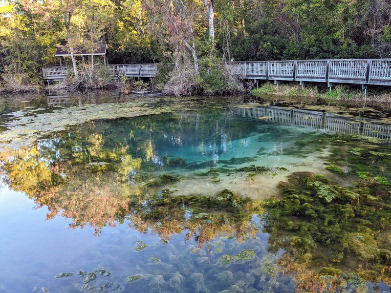 Water So Clear It Plays Tricks On Your Eyes