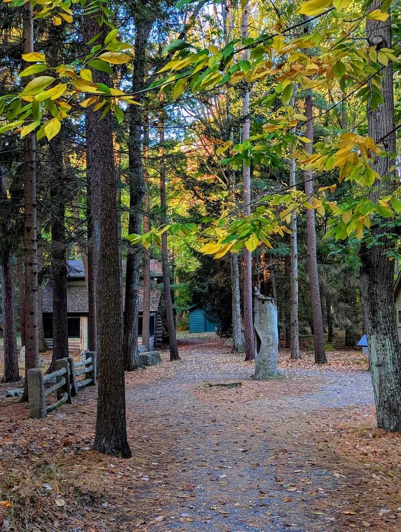 This Hauntingly Beautiful Sculpture Garden In Wisconsin Feels Like A Secret Few People Know - Decor Hint A Path Full Of Surprises