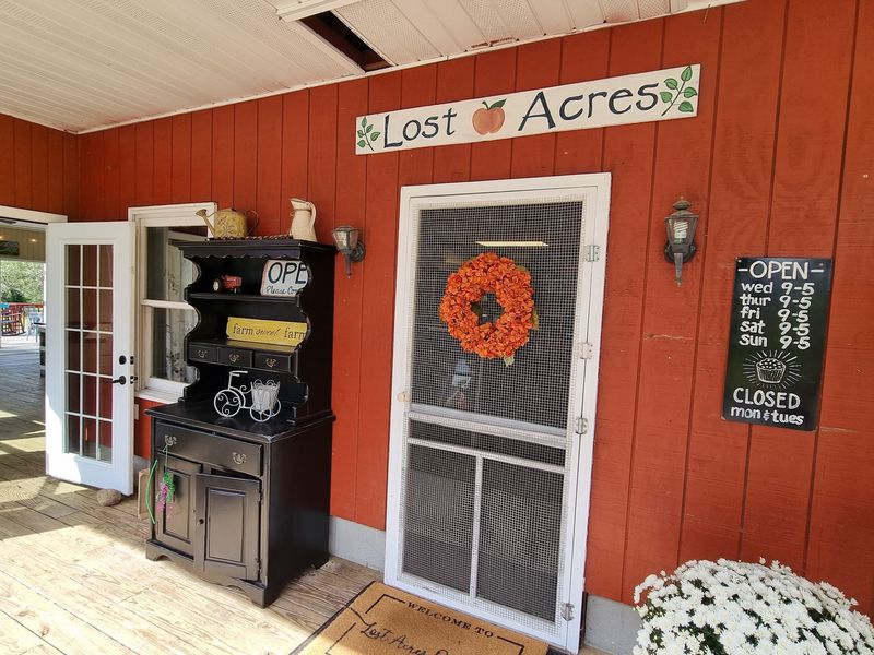 Farm-Made Goodness Defines This Hidden Orchard Store