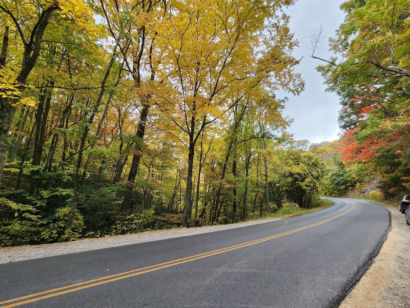 This North Carolina Tunnel Sits Along 114 Miles Of Jaw Dropping Fall Color - Decor Hint Pull Over Safely And The Tunnel Becomes One Incredible Fall Photo Stop